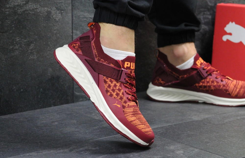 Puma ignite clearance maroon